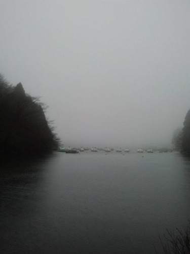 Eerie Lake in the Fog