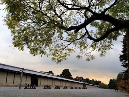 Building and Tree in Kyoto