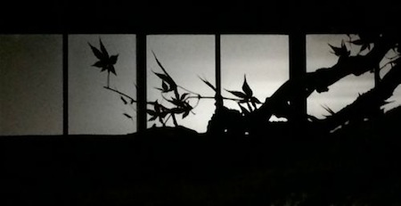 Silhouette of Leaves in Onsen Window
