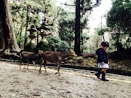 Deer Following Girl